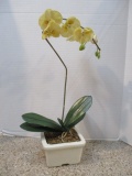 Artificial Orchid in Pottery Planter
