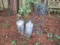 Two Galvanized Watering Cans and Metal Plant Stand
