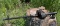 Rare German WWII Rheinmetall Romanian ST-61 / MG 15 Air Cooled Inert Gun w/ Doppel Trommel Magazine