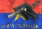 Bringback French MAK M-1935S M1 7.65 LARGO Pistol w/ Holster from Battle of Dak To 1968