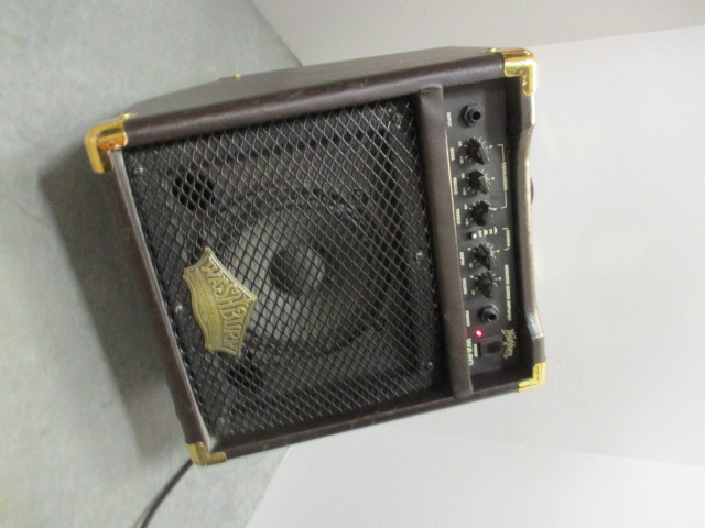 Washburn wa20 outlet
