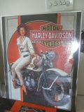 Framed Lady on Harley Puzzle