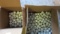 300+/- White Titleist Practice Golf Balls