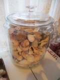 Large Glass Penny Candy Jar FULL of Seashells