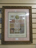 Framed and Matted Print in Ornate Frame
