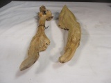 Wood Carved Lizard (11