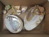 Abalone Shell Ring Dishes and Seven Shell Pendants with Gold Accents