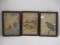 3 Asian Bird Prints Framed