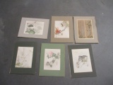 Six Vintage Signed Original Floral and Insect Artworks