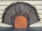 Vintage Wild Turkey Plume Feathers on Wood Stand