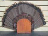 Vintage Wild Turkey Plume Feathers on Wood Stand