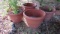 Four Large Light Weight Terra Cotta Look Planters