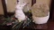 Ceramic Rabbit, Easter Egg Wreath, Plaster Heart Shaped Basket Planter and