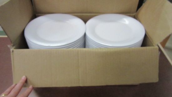 Four Dozen G-E-T 9" Melamine Plates in Box