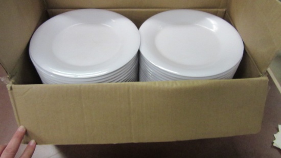 Four Dozen G-E-T 9" Melamine Plates in Box