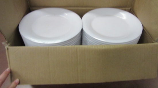 Four Dozen G-E-T 9" Melamine Plates in Box