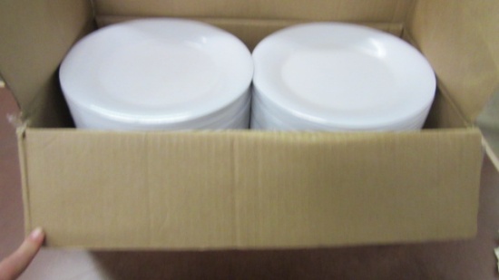Four Dozen G-E-T 9" Melamine Plates in Box