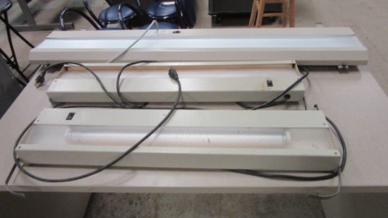 Three Plug-In Fluorescent Light Fixtures