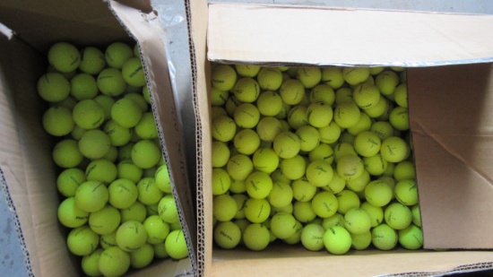 300+/- Titleist Yellow Practice Golf Balls