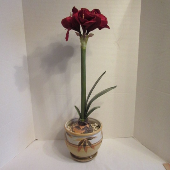 Artificial Amaryllis in Mexican Pottery Pot