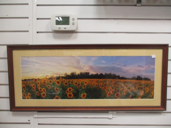 Framed and Matted Sunflower Field Photo Print