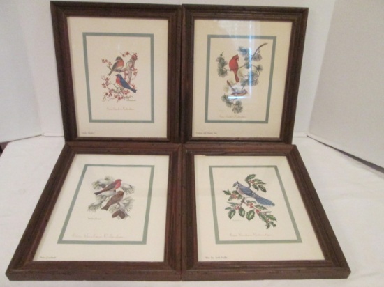 Four Signed Anne Worsham Richardson Bird Prints