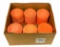 62qty. Shotgun Clay Pigeon Trap & Skeet Targets *NO SHIPPING*