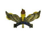 USAF Training Instructor Badge