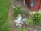 Yard Art