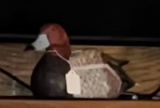Handpainted Carved Redhead Duck Decoy