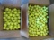 300+/- Yellow Titleist Practice Balls