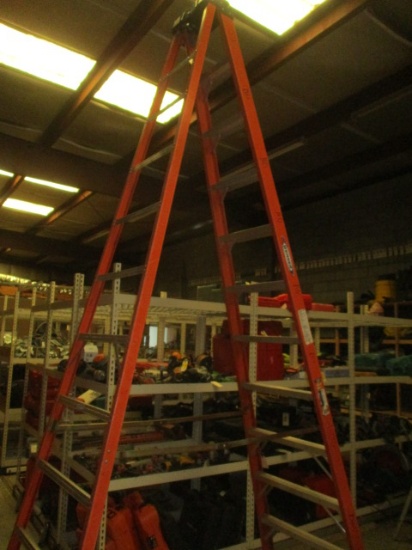 Werner 12' Fiberglass Ladder