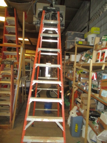 Werner 10' Fiberglass Step Ladder
