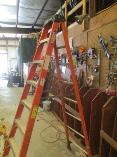 8' Fiberglass Ladder