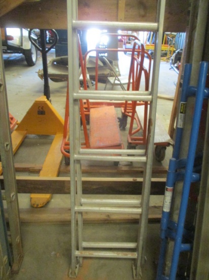 All American 16' Aluminum Ladder