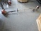Stihl Edger