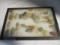 Vintage Carved Arrowheads and Quartz in Display Case