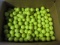 200 Yellow Titleist Practice Balls