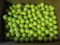 200 Yellow Titleist Practice Balls