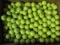 200 Yellow Titleist Practice Balls