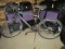 Roadmaster Granite Peah Trail Bike