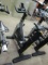 TechnoGym Cycle