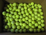 200 Yellow Titleist Practice Balls