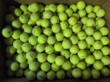 200 Yellow Titleist Practice Balls