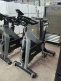 TechnoGym Cycle