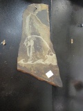 Artist Signed Walrus Etching on Slate