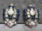 Murano Glass and Crystal Clip Earrings