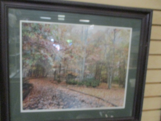 Framed and Matted "Autumn Trees and House" Photograph