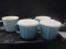 Three Piece Turquoise Blue Pinwheel Set of Pyres Bowls, One has Lid.