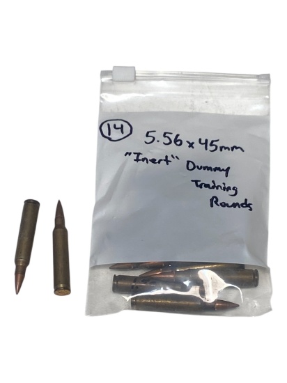 (14) 5.56x45mm “Inert” Dummy Training Rounds